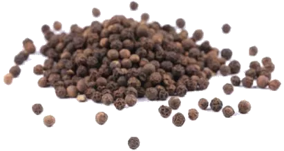 Černý pepř