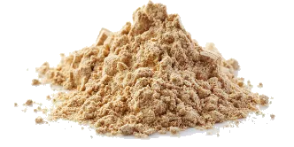 Kotvičník