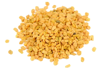 Pískavice