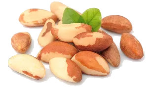 Selen