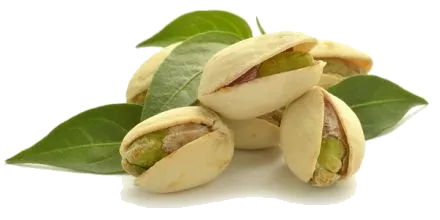 Vitamin B6