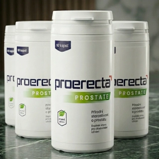 Proerecta Prostate | 240 ks (4 bal.)